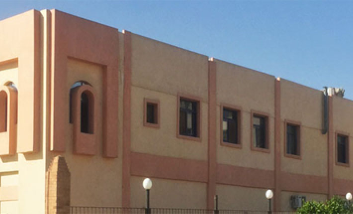 ELRAZY Pharmaceutical in Egypt